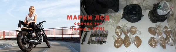 амф Анжеро-Судженск